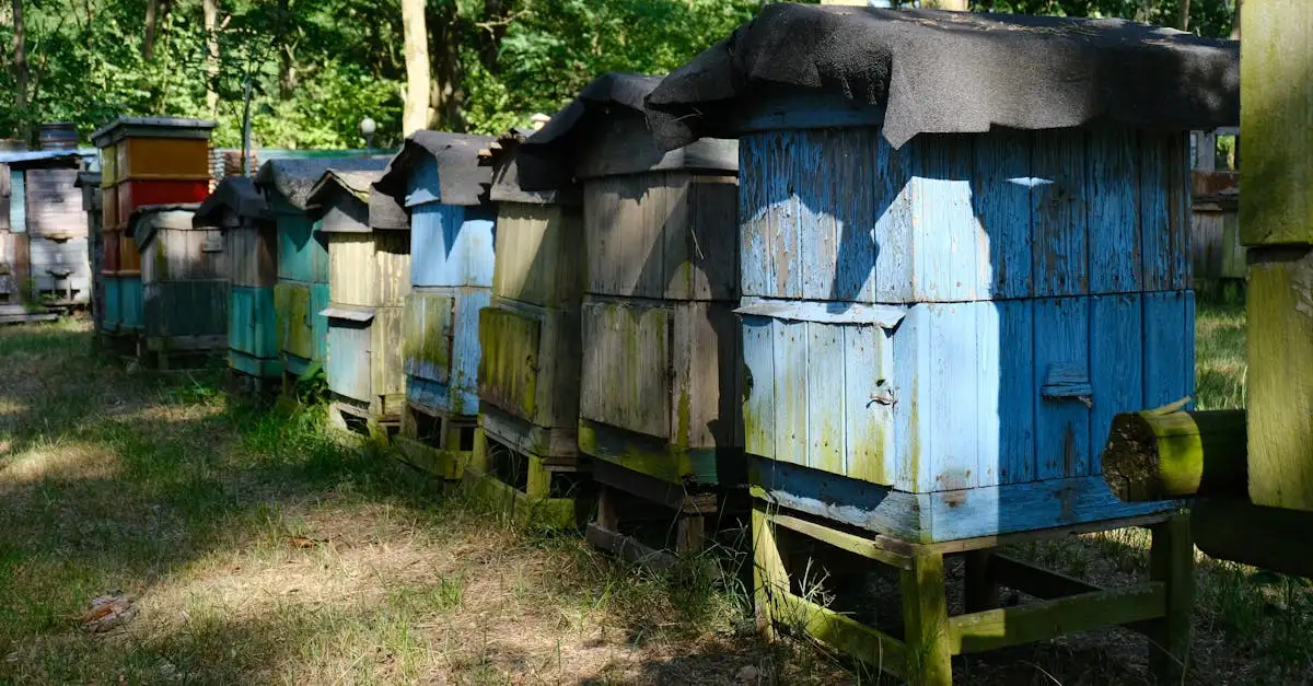 Duurzame bijenkorven: bescherm de natuur en bijen