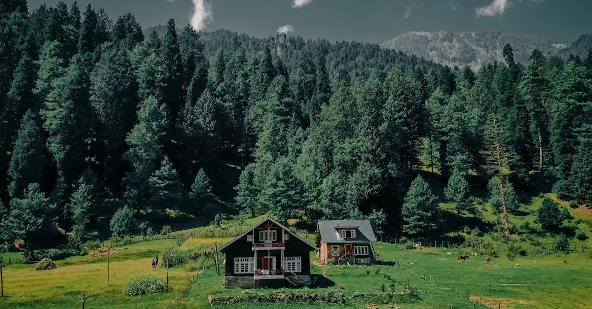 Country lifestyle wonen: landelijk wonen en inspiratie