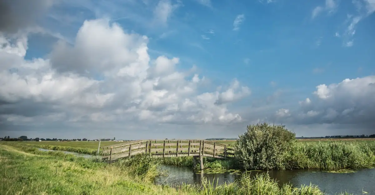 Countrylifestyle NL: Ontdek de charme van het buitenleven