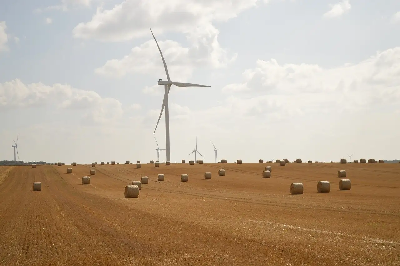 Duurzaam inkopen: tips voor een groene bedrijfsvoering