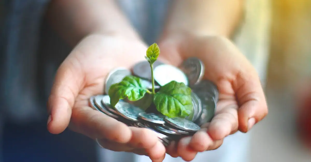 Duurzaamheidslening: financier uw groene investering nu