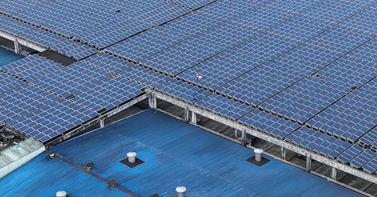 Ecologische duurzaamheid: onze groene belofte voor de