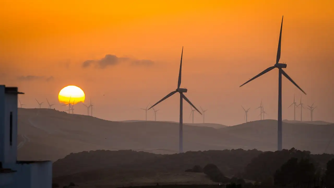 Ontdek duurzame en ecologische producten nu