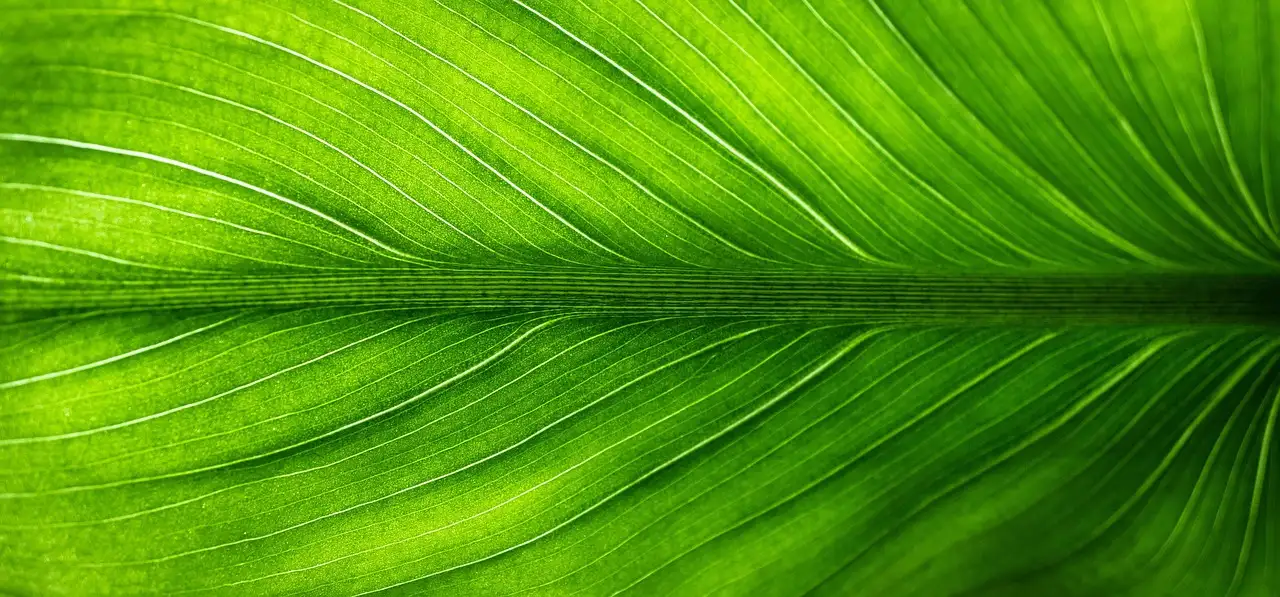 Kies de beste groene energieleverancier nu
