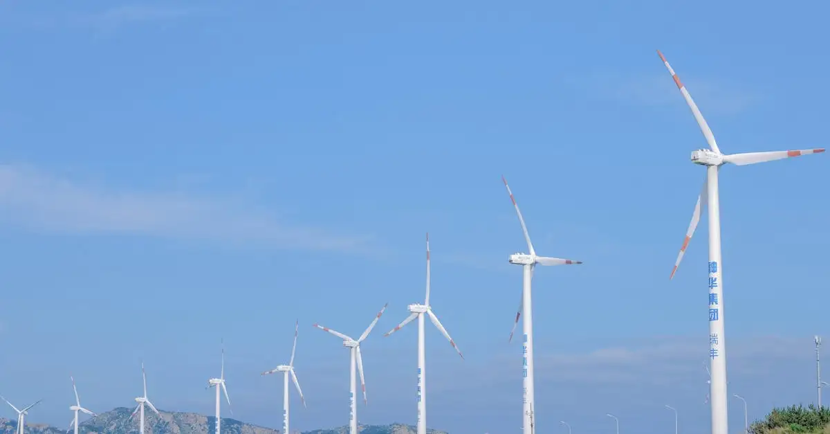 Groene stroom: voordelig en duurzaam opwekken