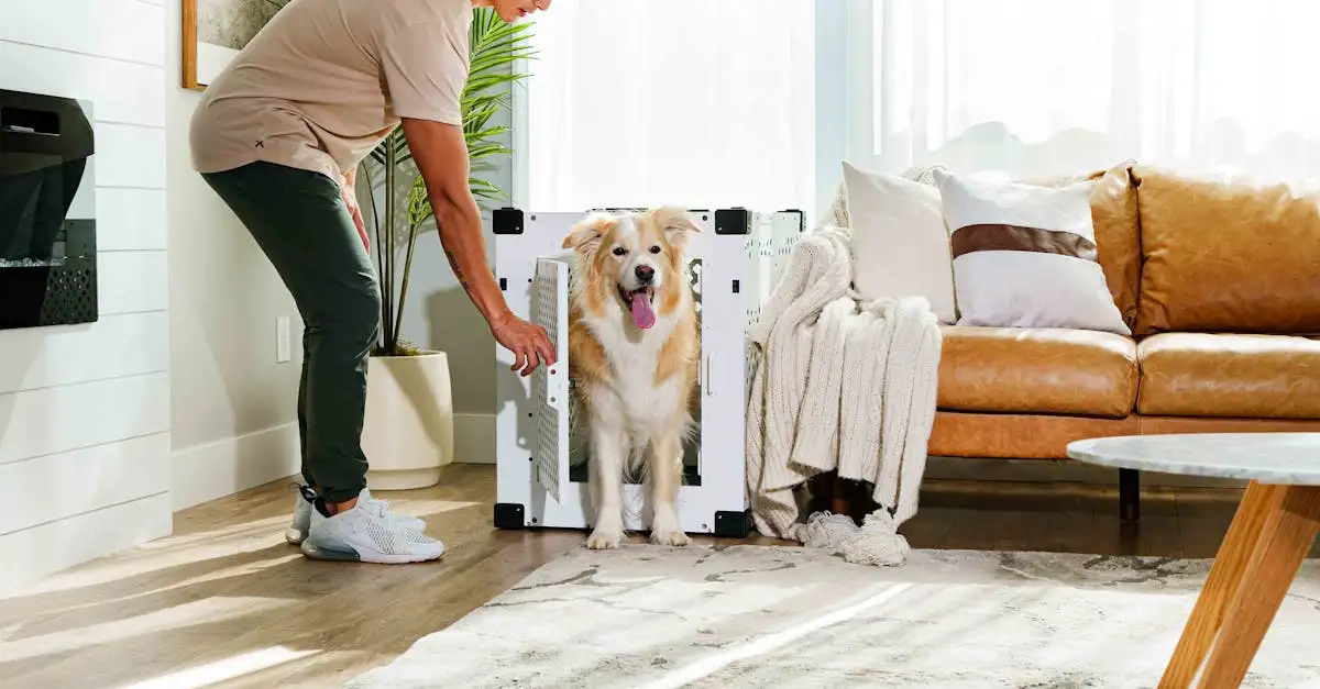 Lifestyle Carpets Esprit: Stijlvolle en duurzame vloerkleden