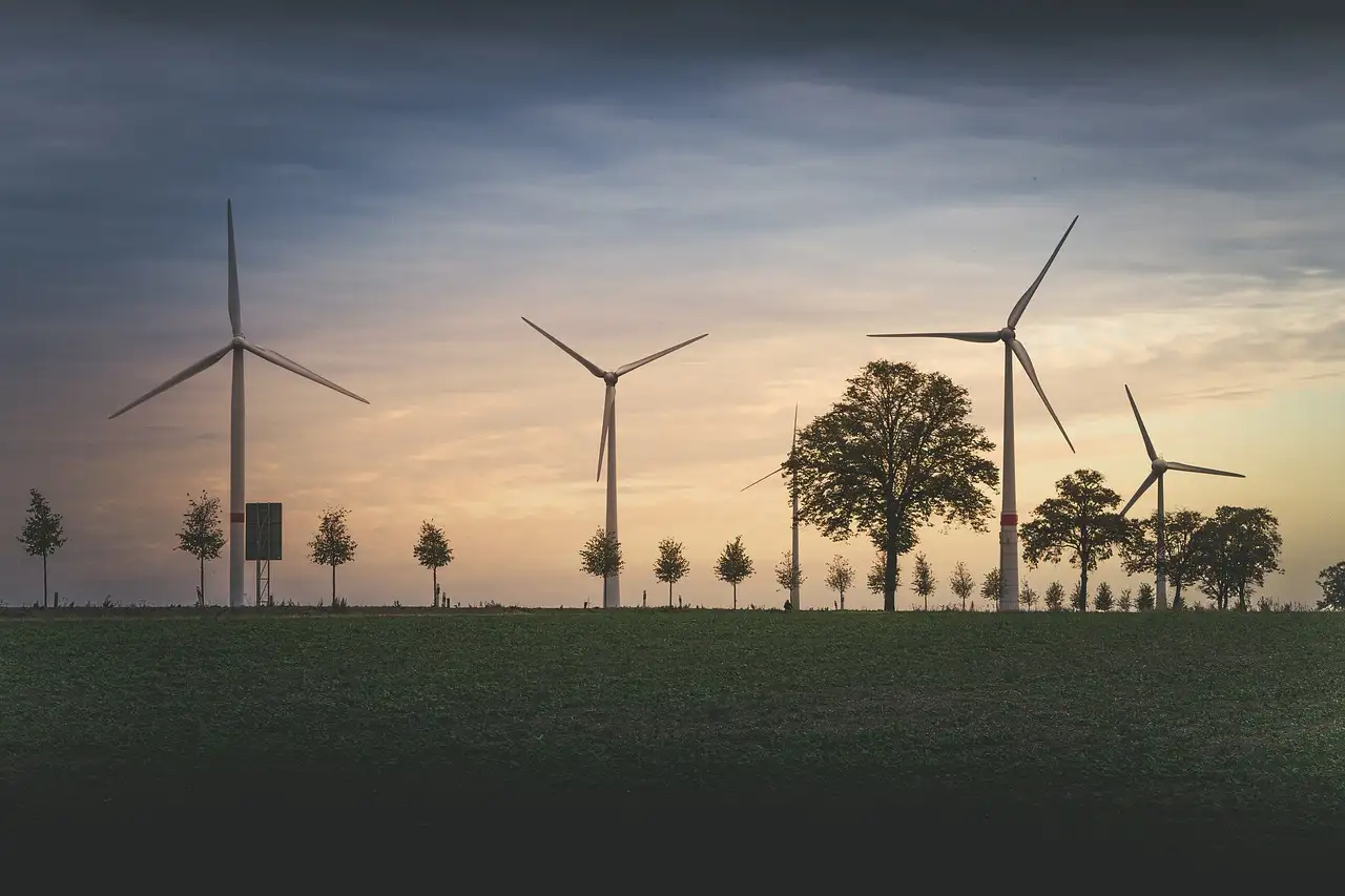 Mijn groene energie: Duurzame keuzes voor thuis