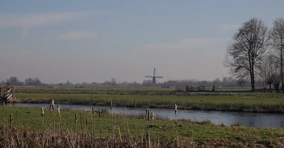 Polder living lifestyle: Rust en ruimte in uw dagelijks