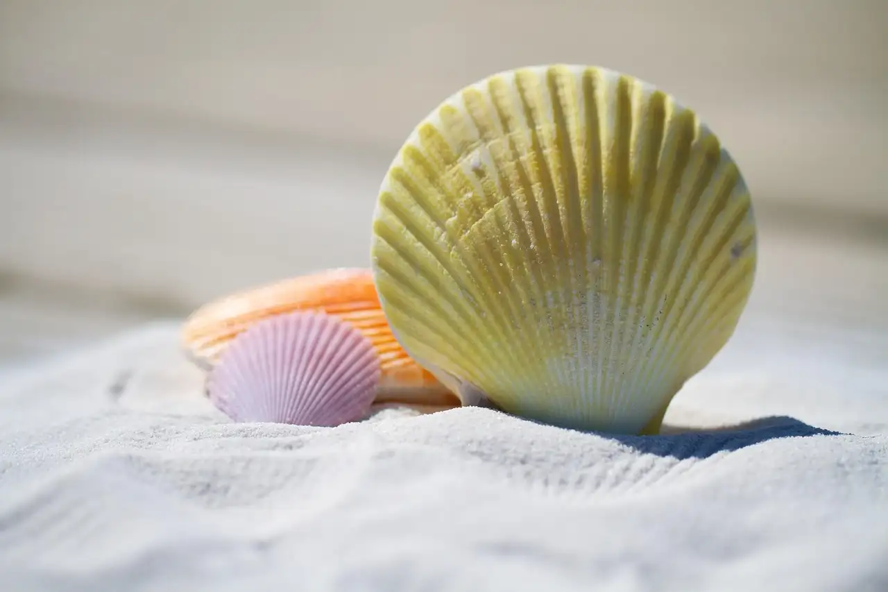 Shell groene energie: Ontdek duurzame oplossingen nu