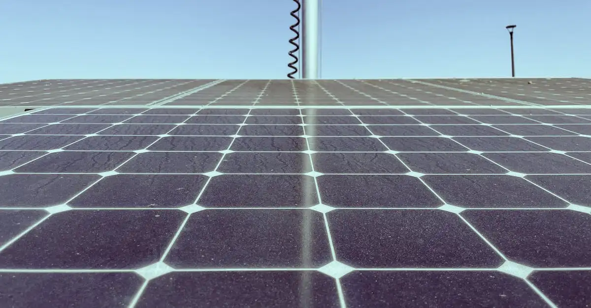 Voorbeelden hernieuwbare energie: duurzame opties ontdekken