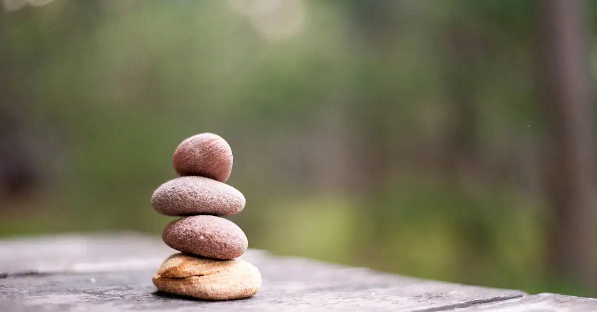 Zen Lifestyle Outlet: Rust en Balans voor Thuis